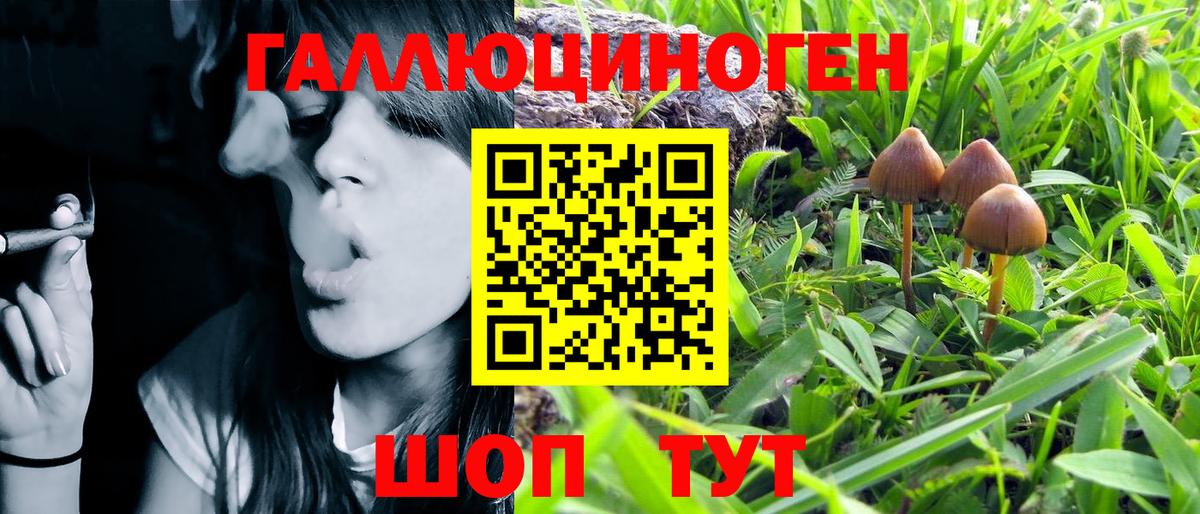 закладки  Псилоцибиновые грибы MAGIC MUSHROOMS  Вход с VPN  Железноводск 